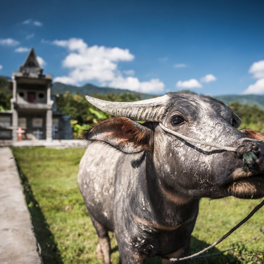 Lake Toba