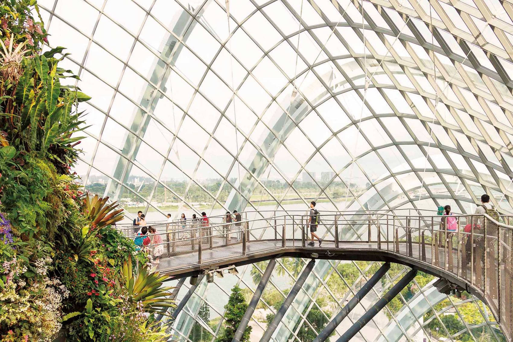 Singapore's Gardens by the Bay Credit: Lauryn Ishak
