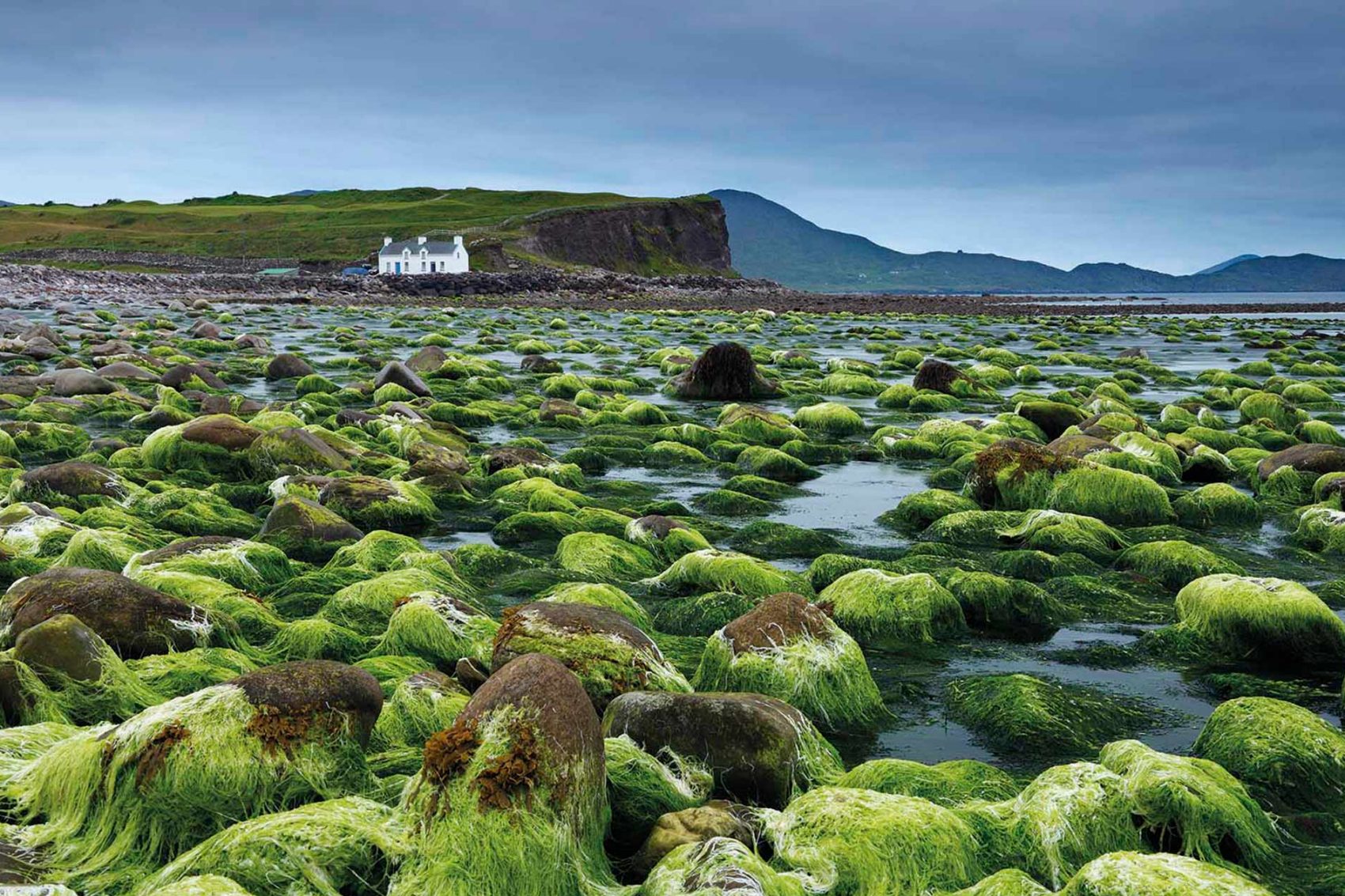 ireland