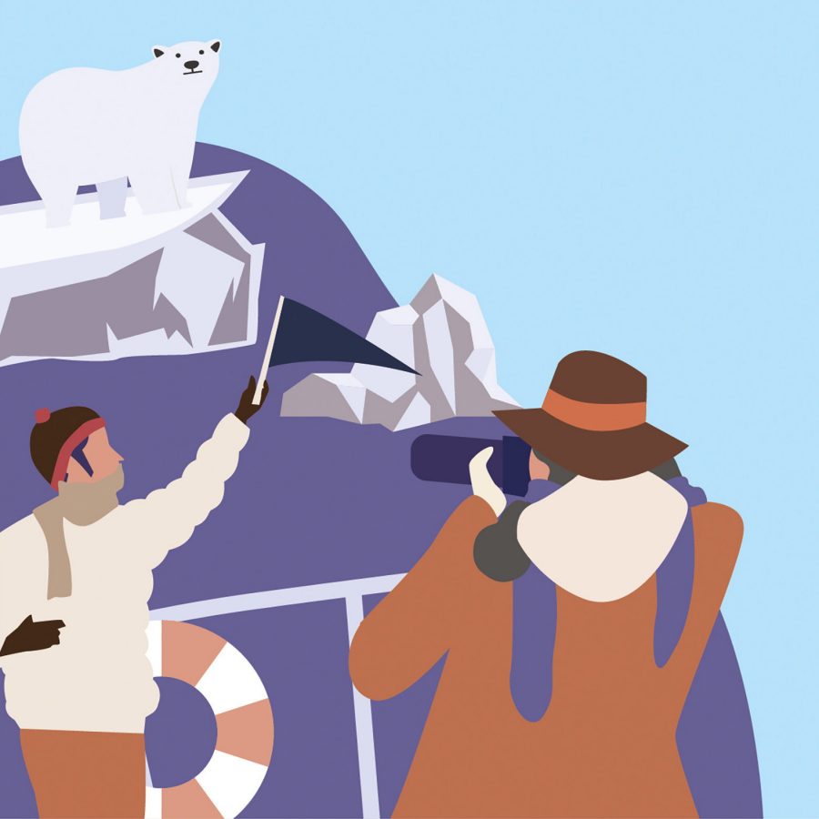 Polar Bear