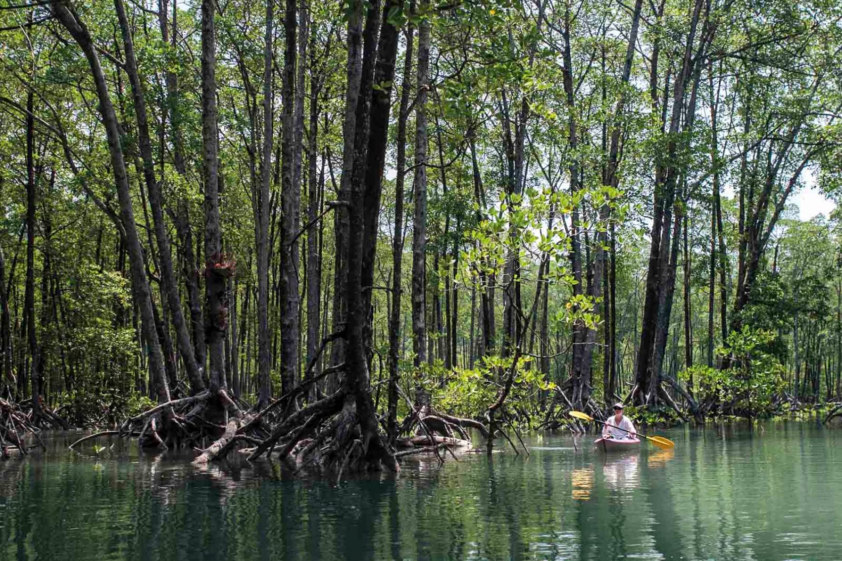 Kayaking 