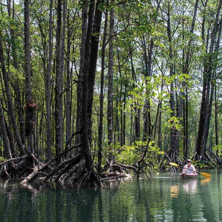 Kayaking 