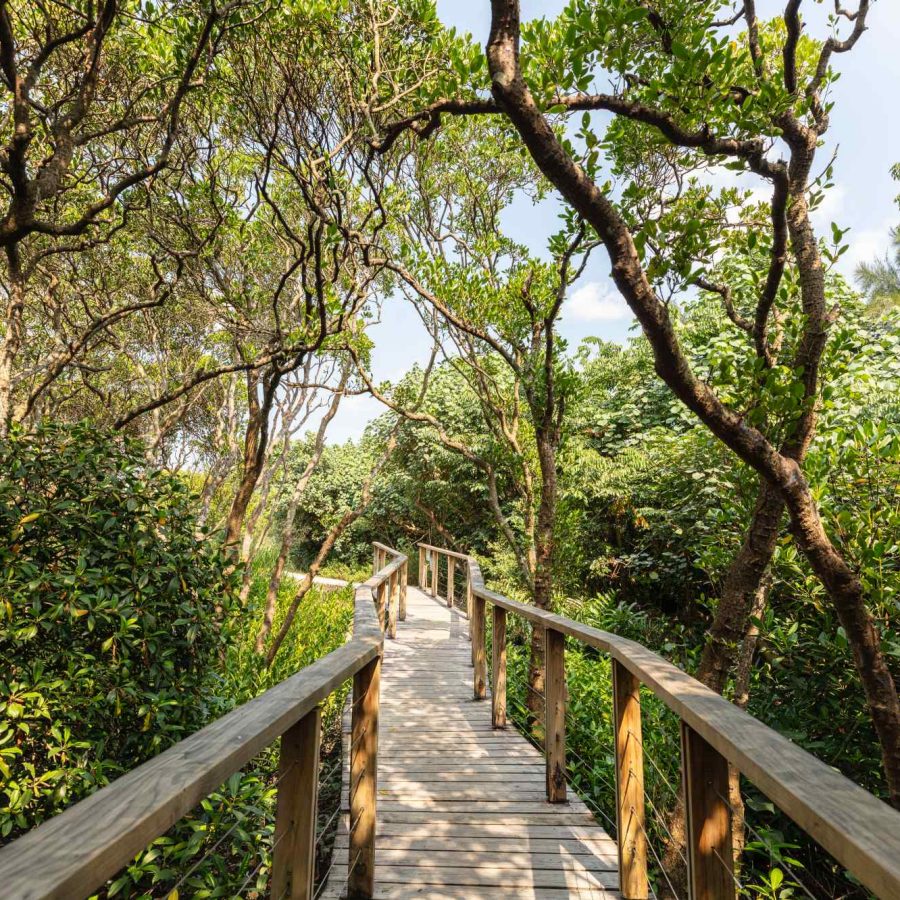 Hong Kong Wetland Park walkway