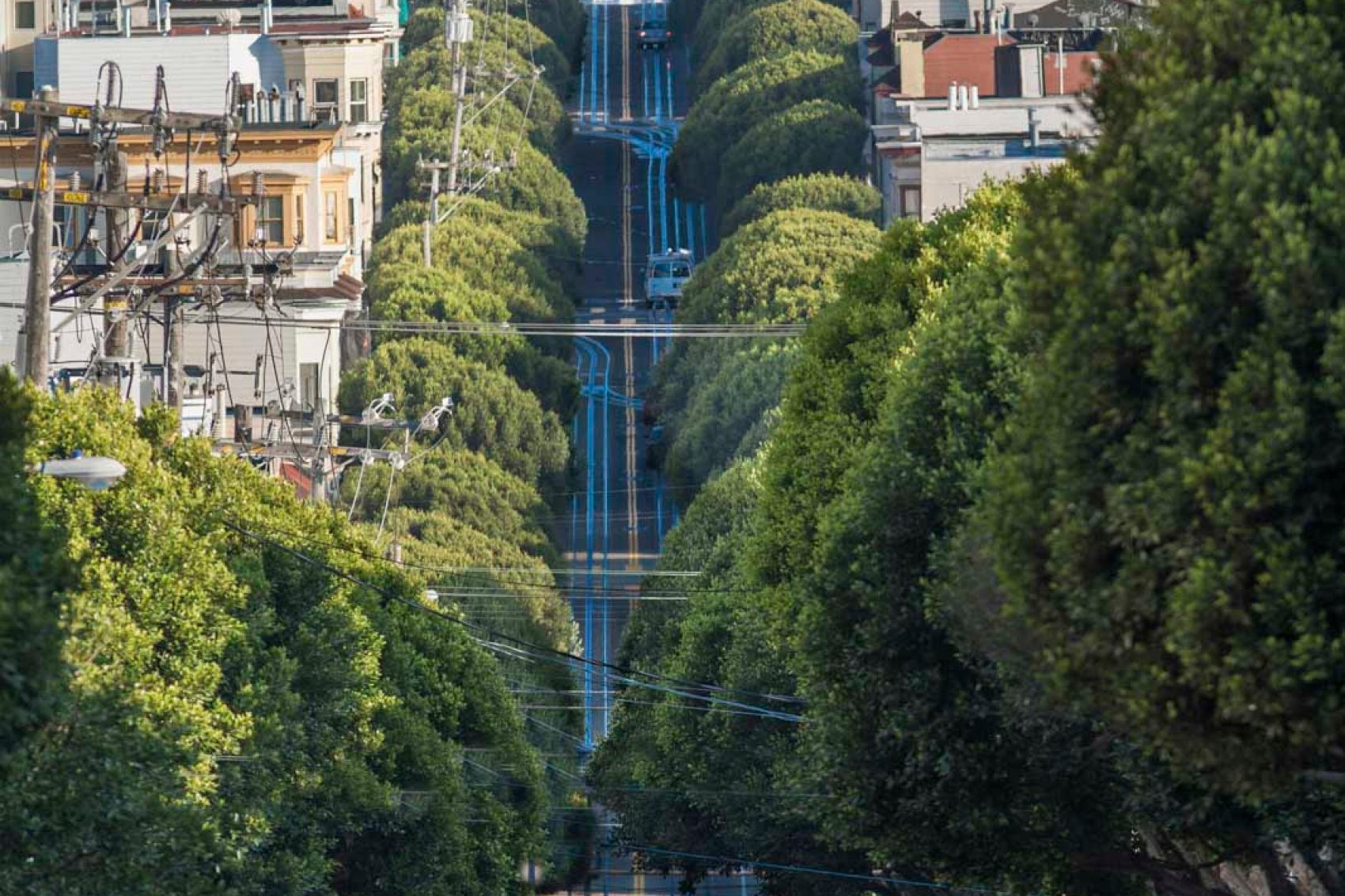 San Francisco road lined with trees