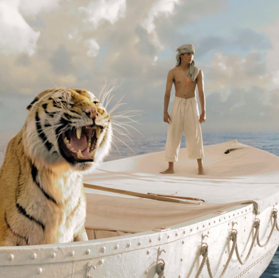 LIfe of PI
