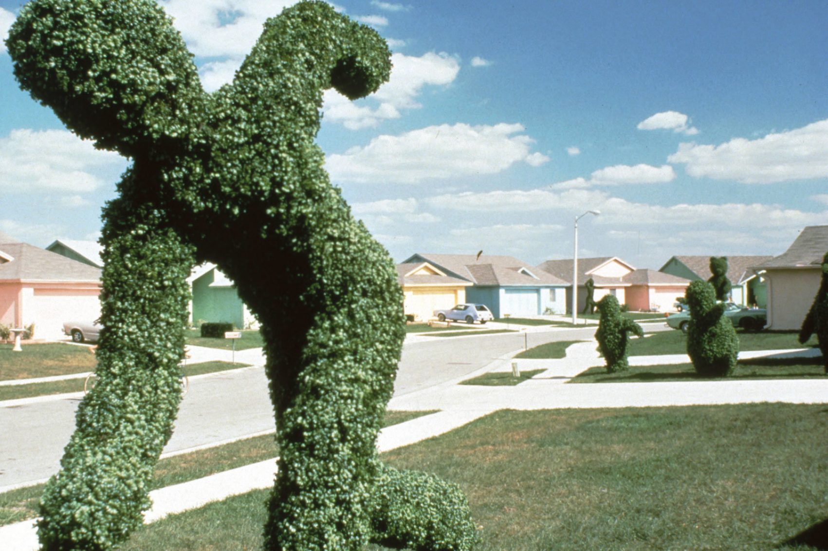 Grass sculpture, blue skies