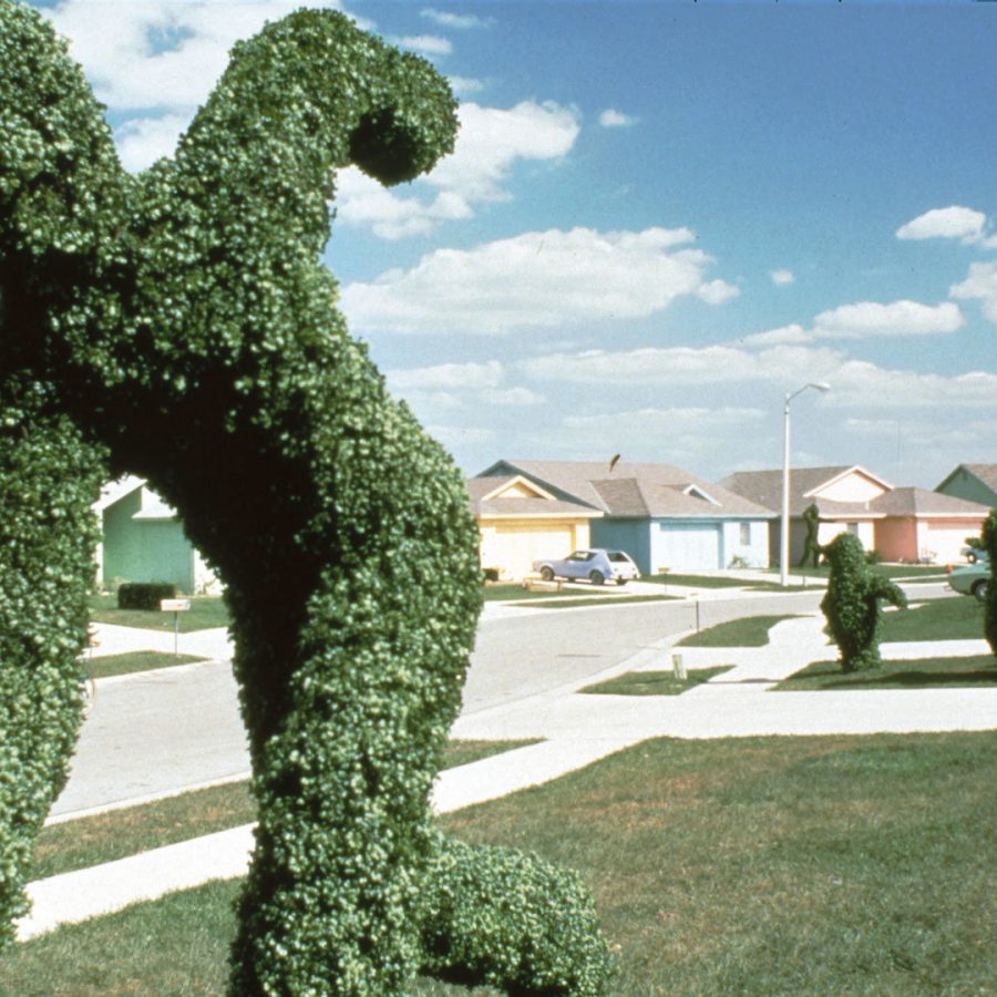 Grass sculpture, blue skies