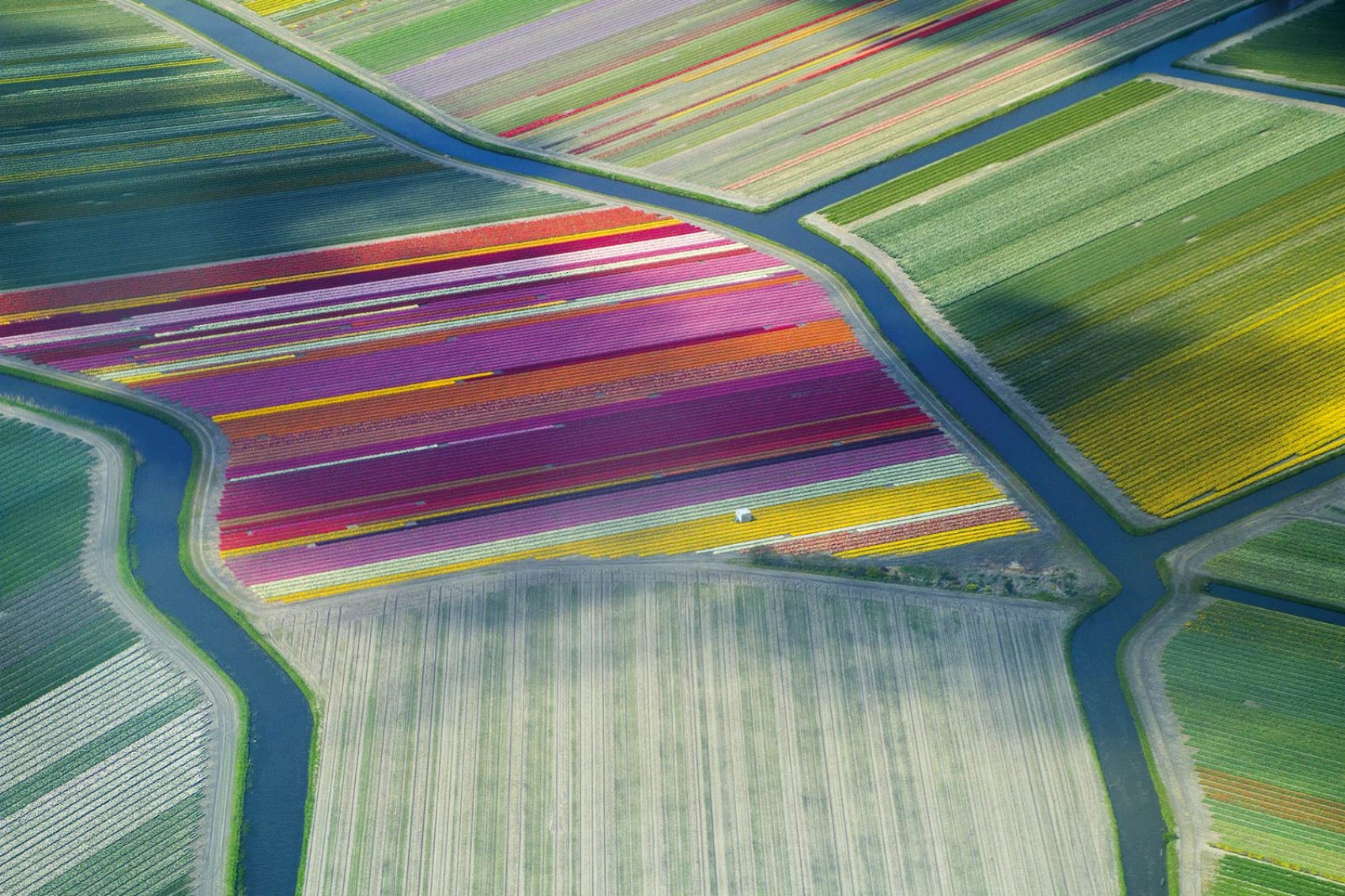 Keukenhof, Netherlands
