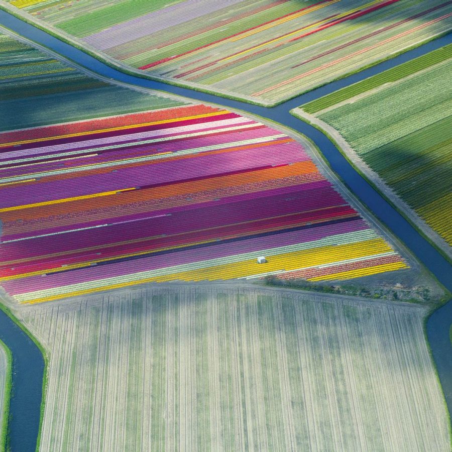 Keukenhof, Netherlands