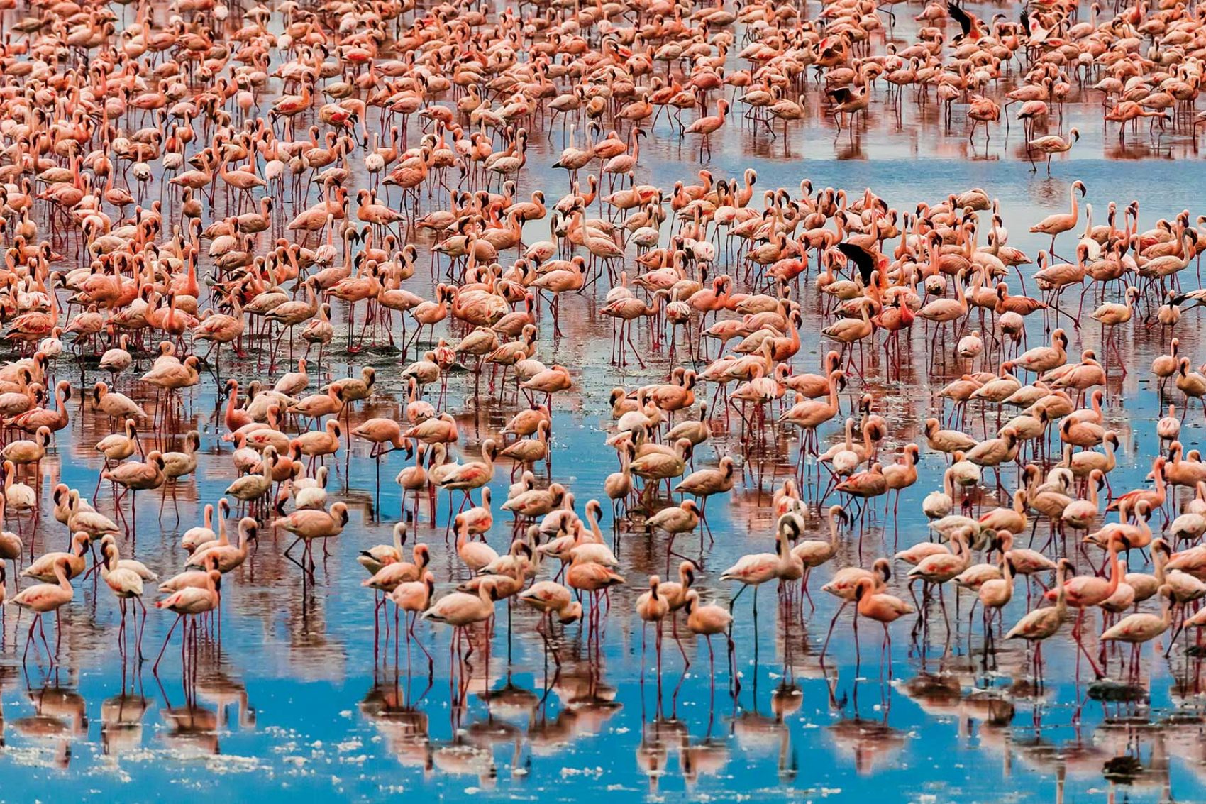 Kamfers Dam, Africa