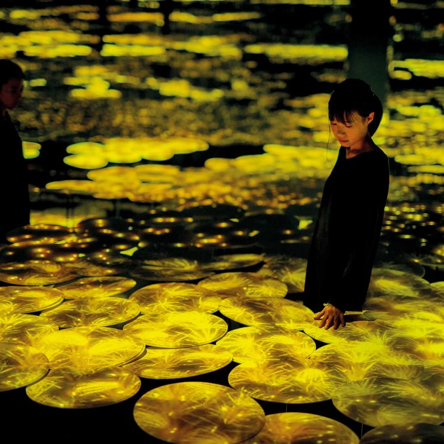 Tokyo's TeamLab Borderless is an Instagrammer's dream