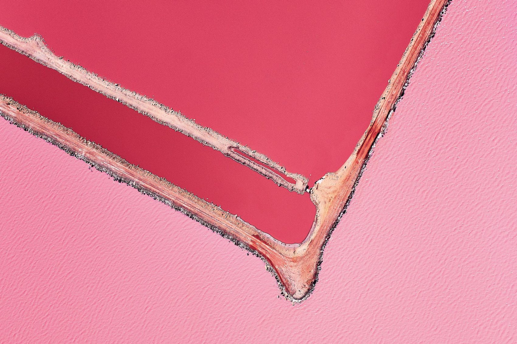 Pink Sea.. Credit: Remy Gerega