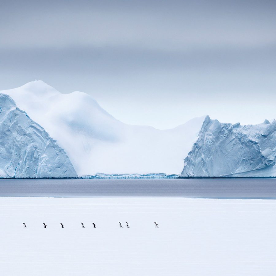 Antarctica