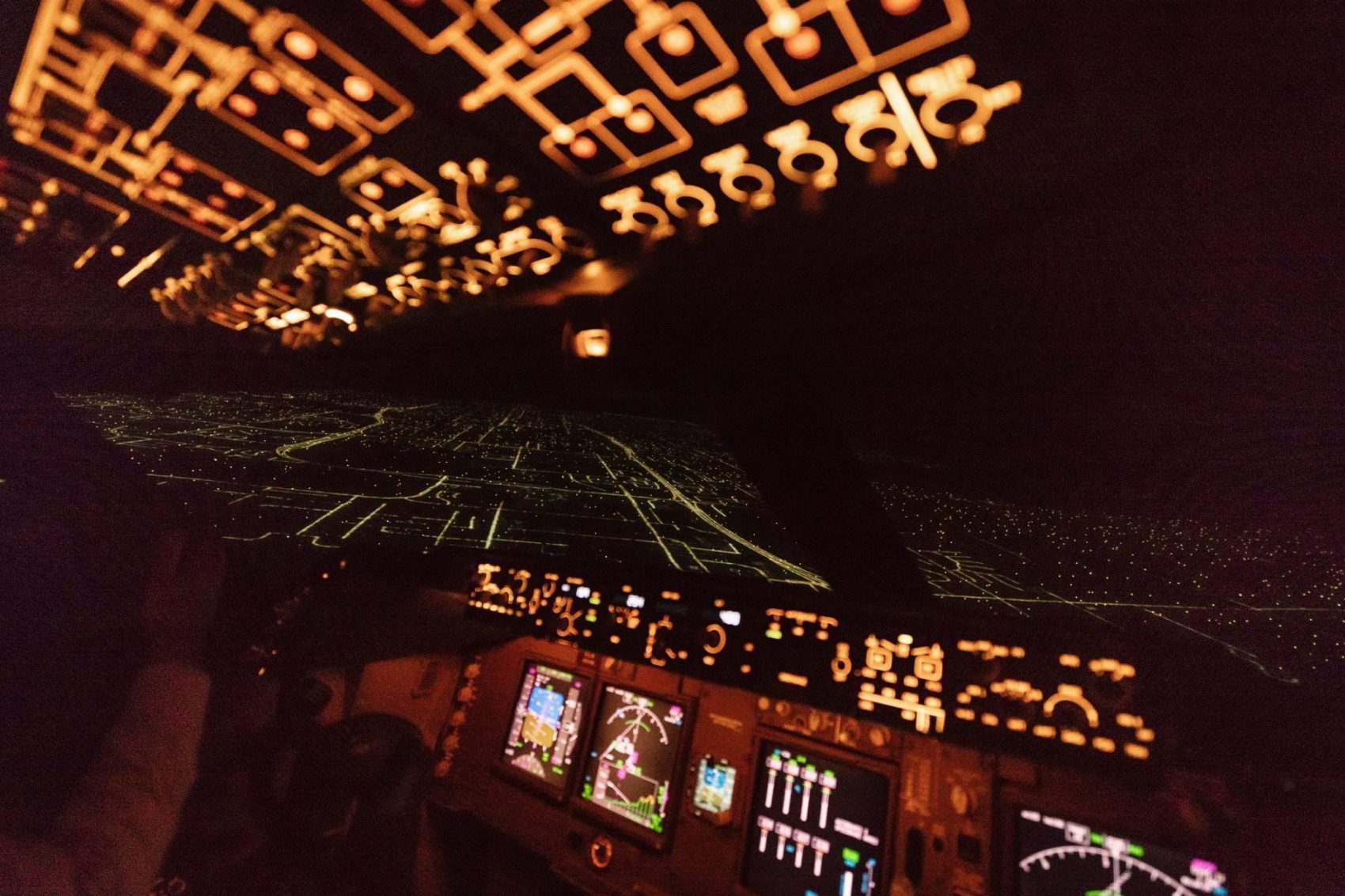 Flight simulator