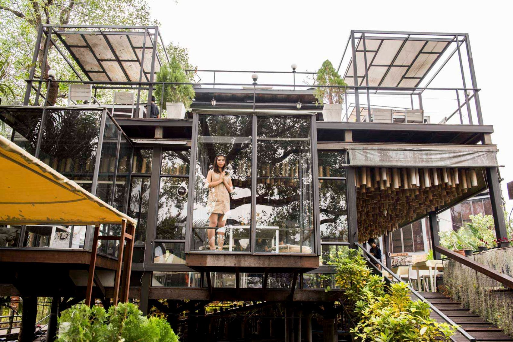 Bangkok Tree House