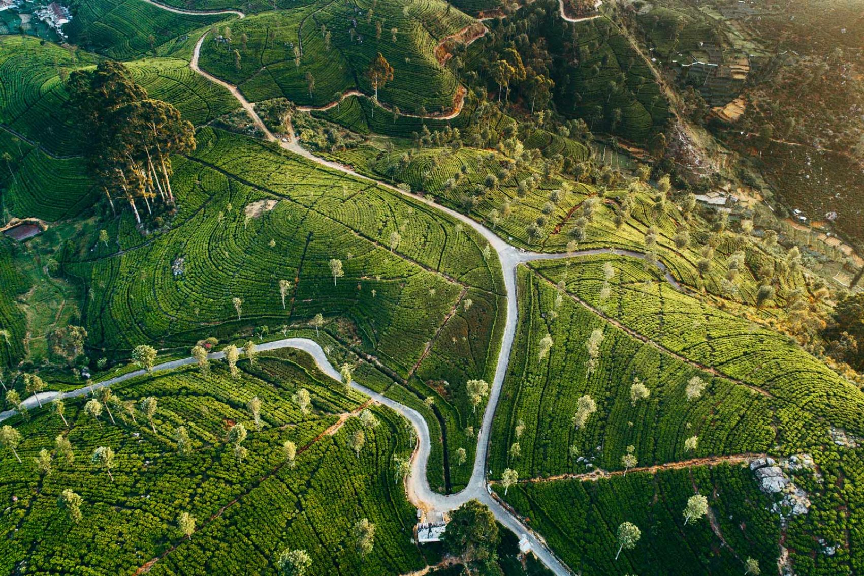 Aerial view of roads in a green mountain