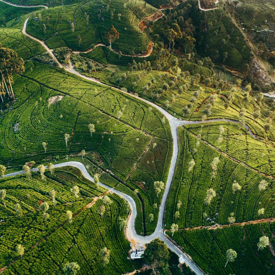 Aerial view of roads in a green mountain