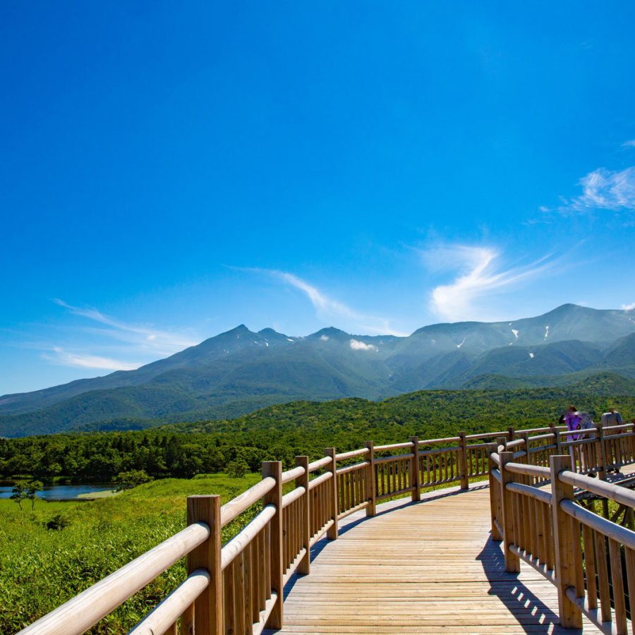 Bridge going towards the mountain surrounded by lush greenery and a blue sky