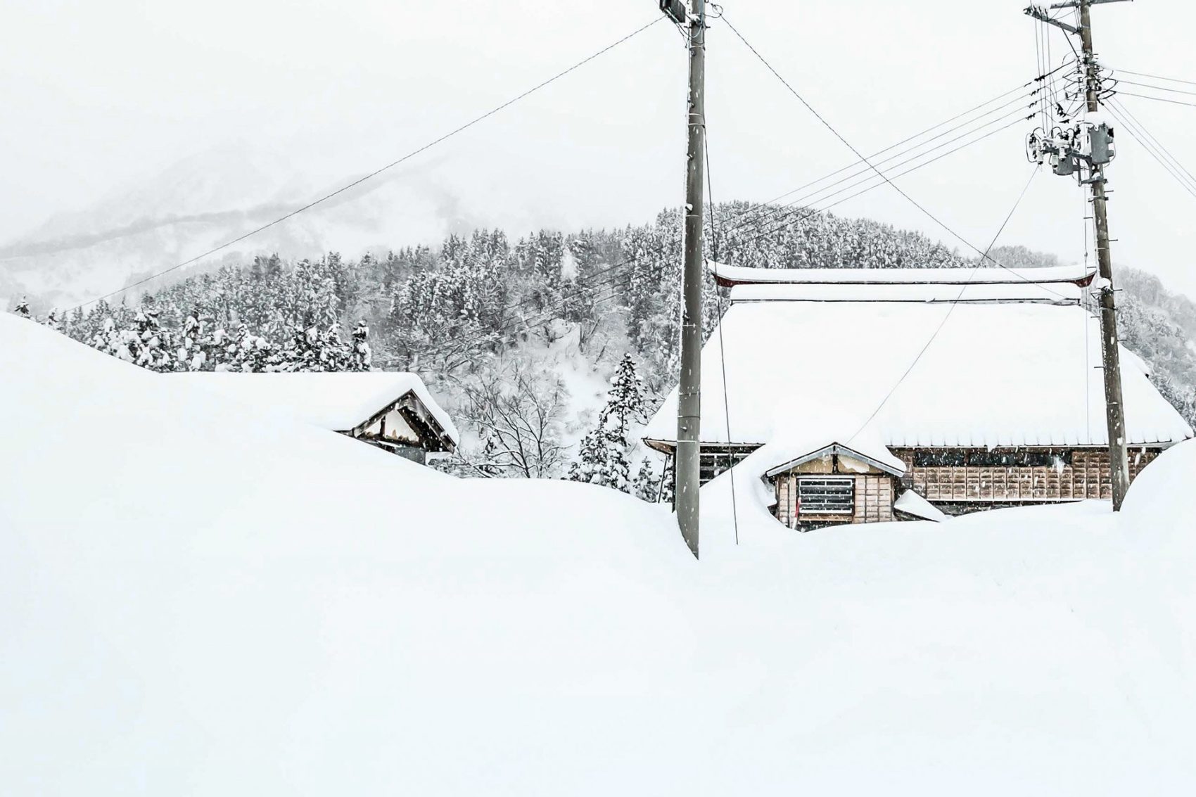 Niigata 