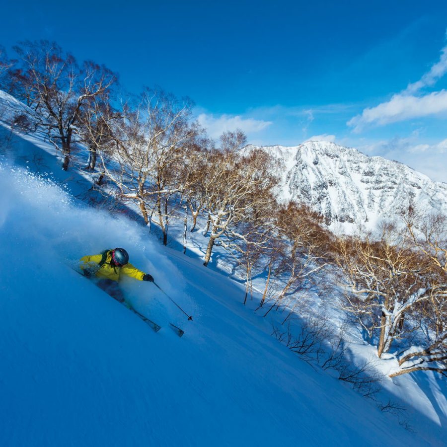 Honshu ski resorts