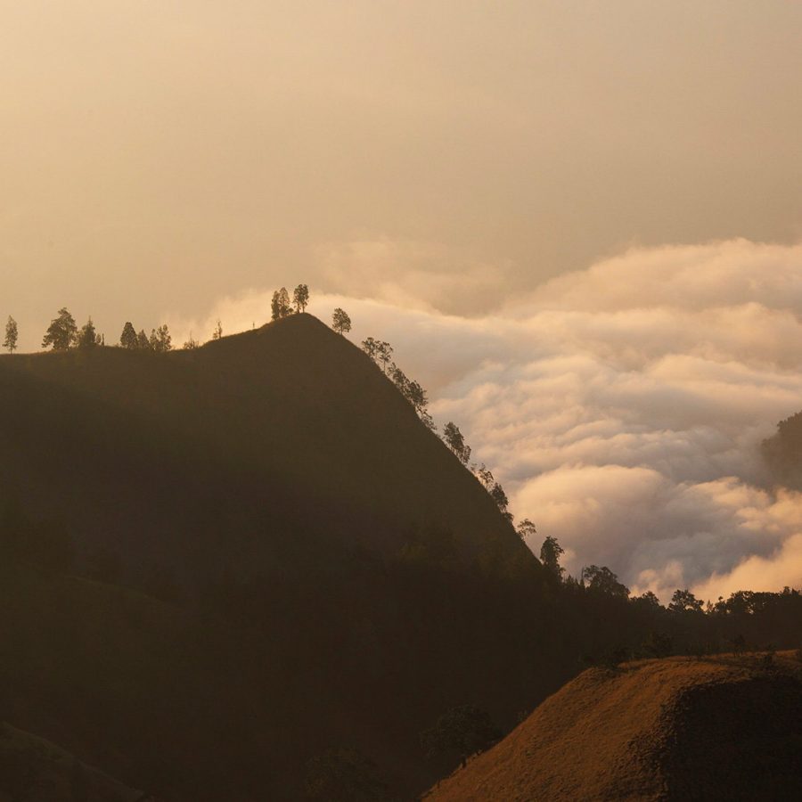 龍目島山上風光
