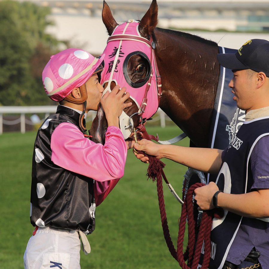 Jockey,  horse and trainer