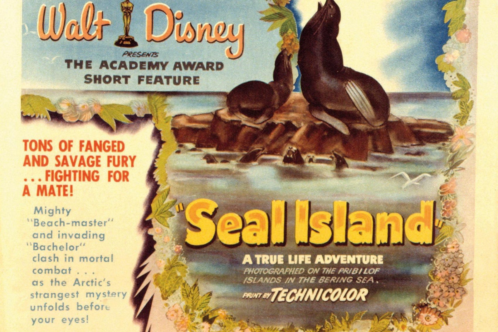 Seal Island poster