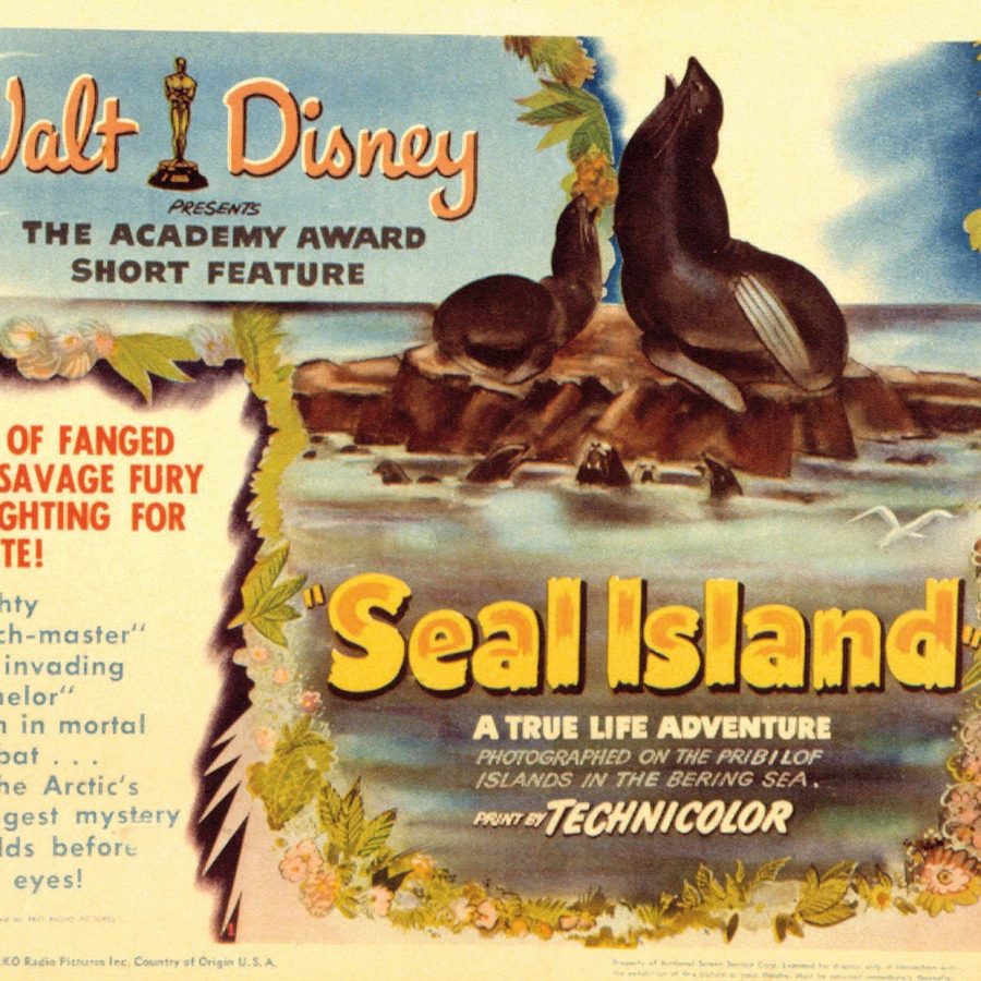 Seal Island poster