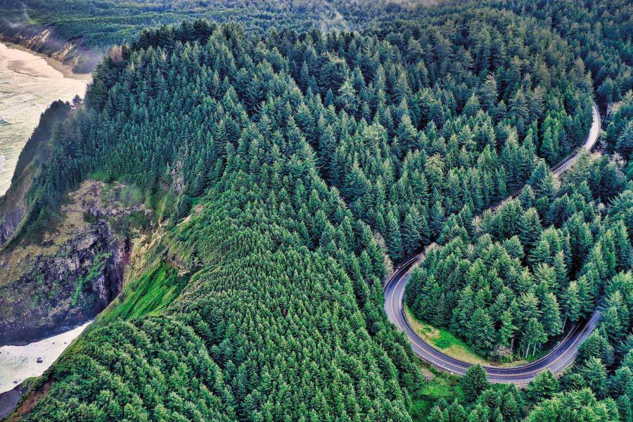 Scenery along Highway 101, part of a West Coast road 