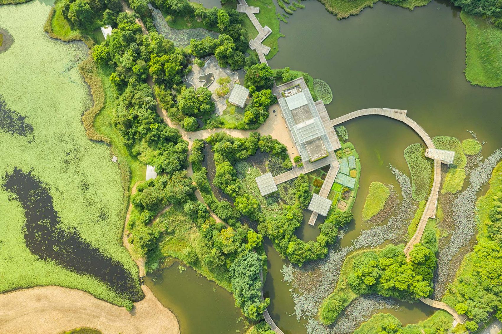 Hong Kong Wetland Park. Credit: Mike Pickles