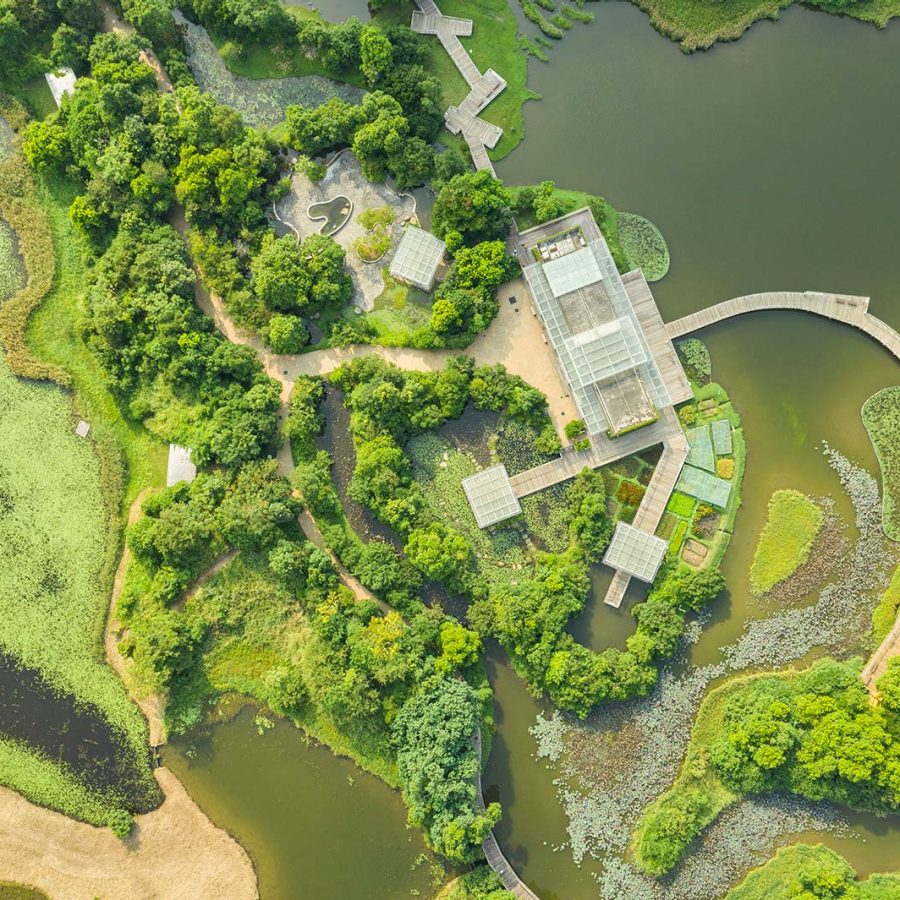 Hong Kong Wetland Park. Credit: Mike Pickles