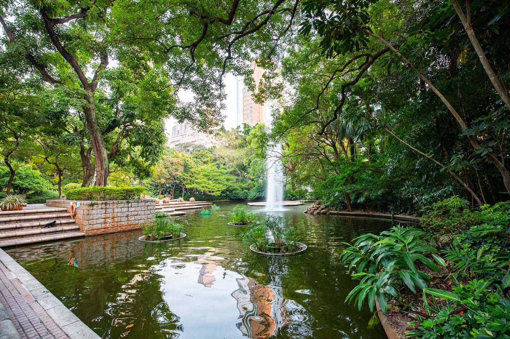 Kowloon Park, Hong Kong. Credit: Moses Ng