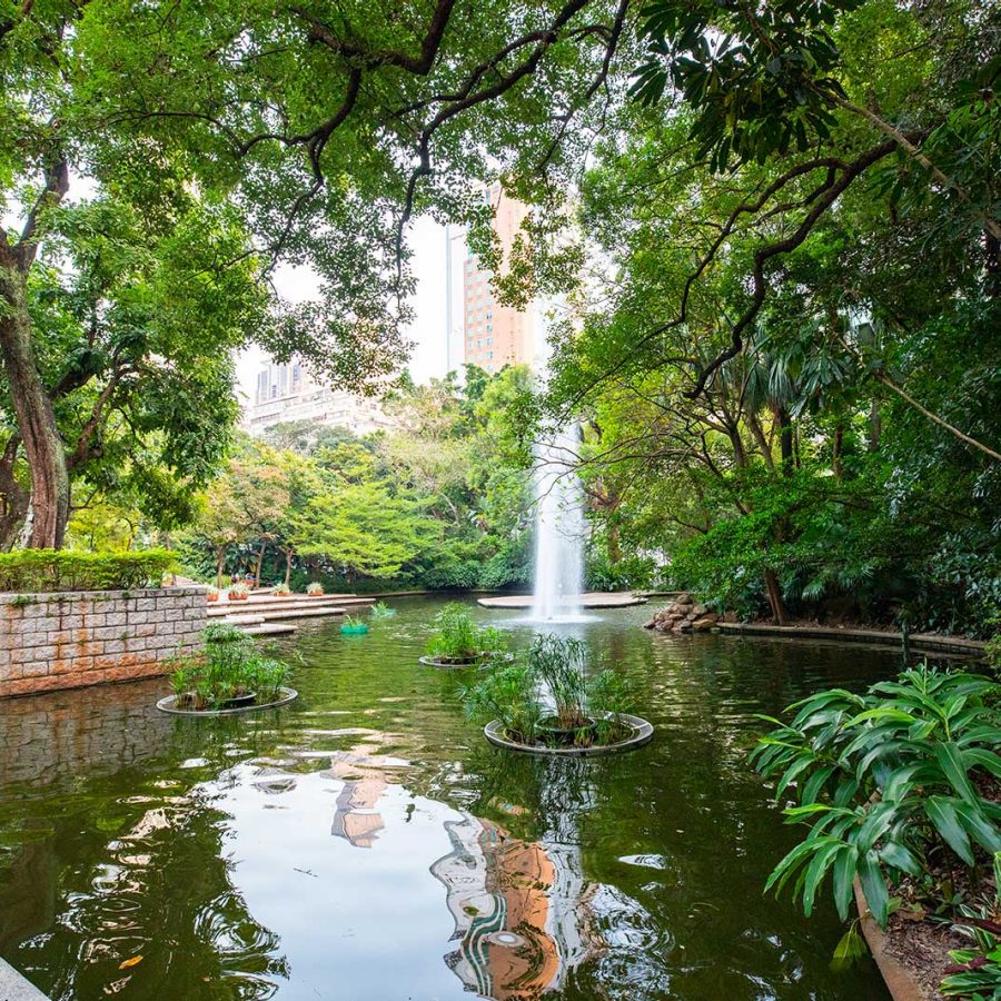 Kowloon Park, Hong Kong. Credit: Moses Ng