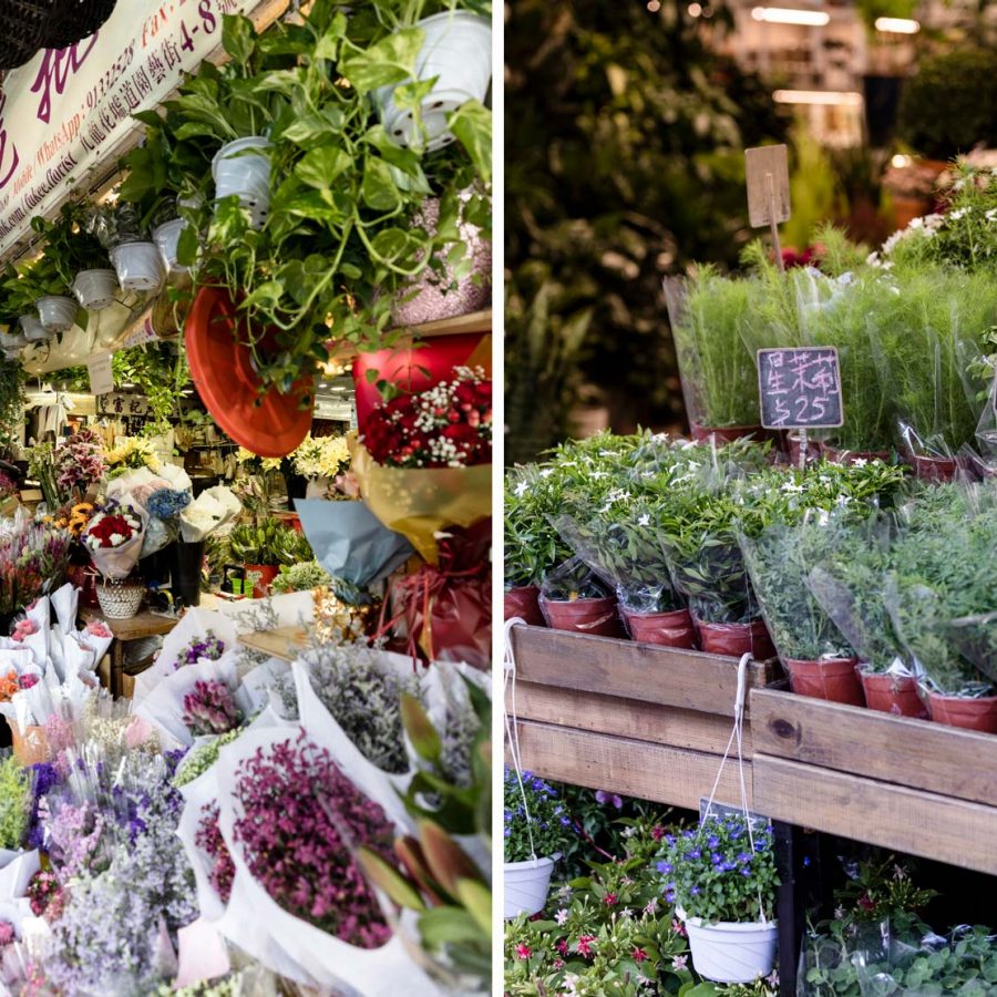 Flower Market