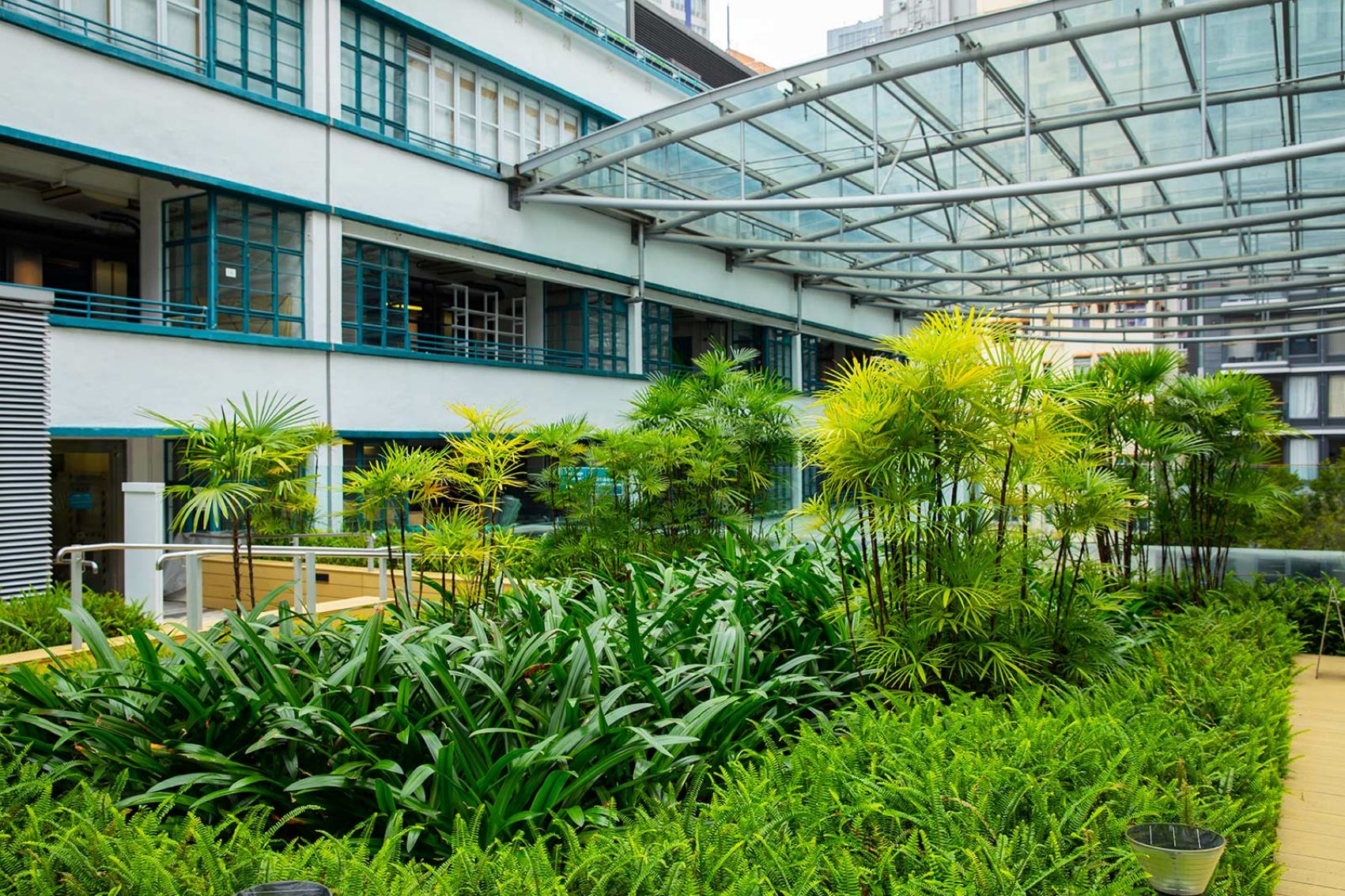 The roof garden at PMQ. Credit: Moses Ng