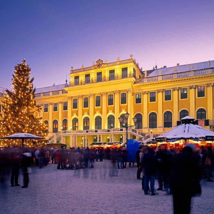 Vienna City Hall Christmas Market