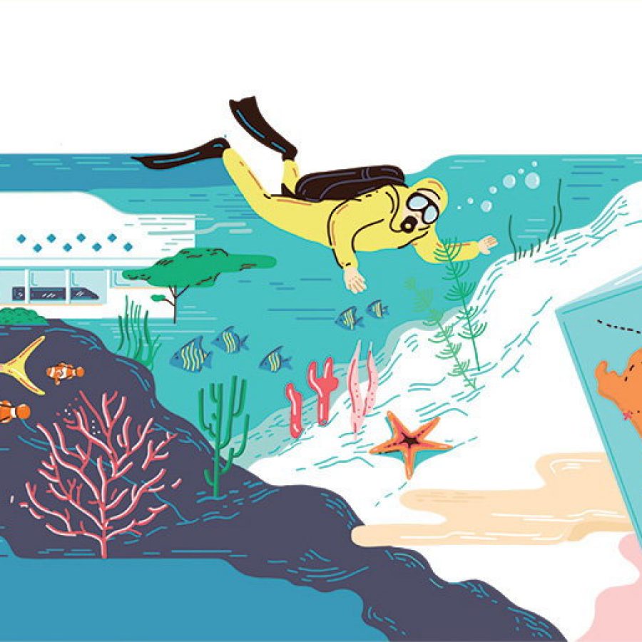 Illustration: Kathleen Fu