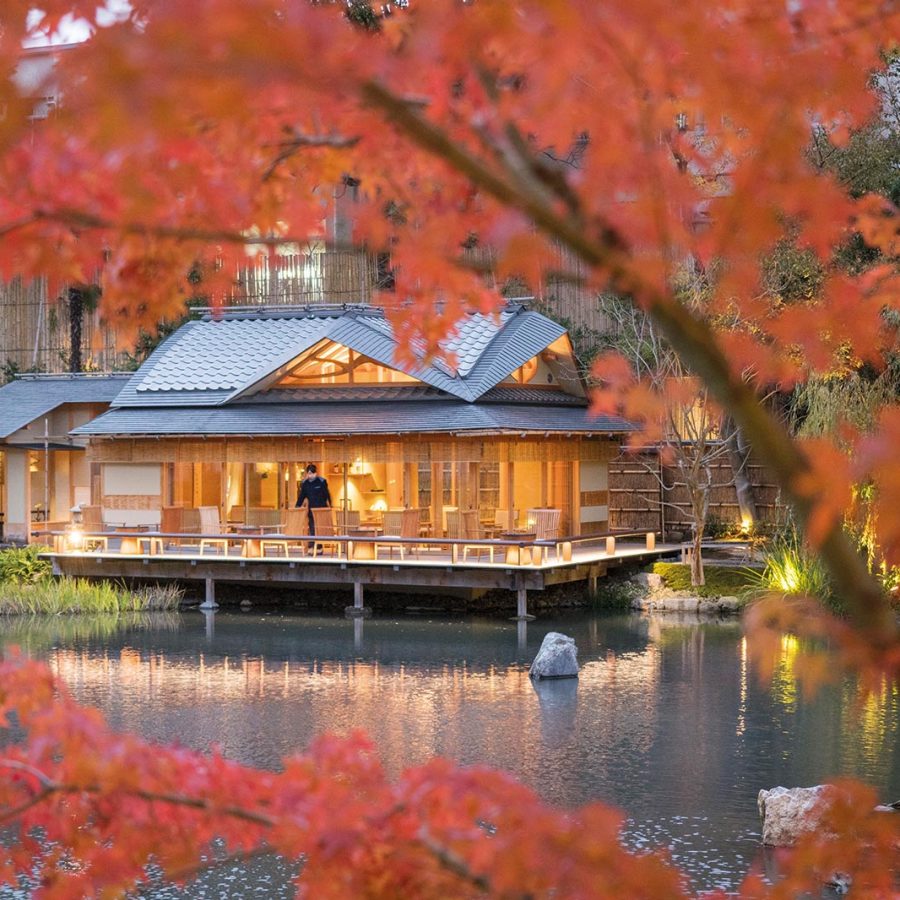 Lit up hotel villa surrounded by tree with red flowers