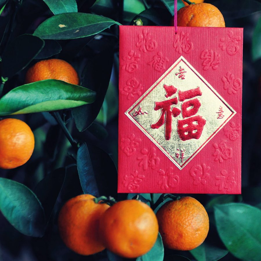 Laisee and clementines. Credit: Getty Images