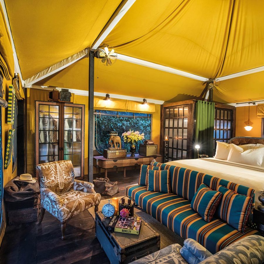 Yellow tended room at a jungle retreat