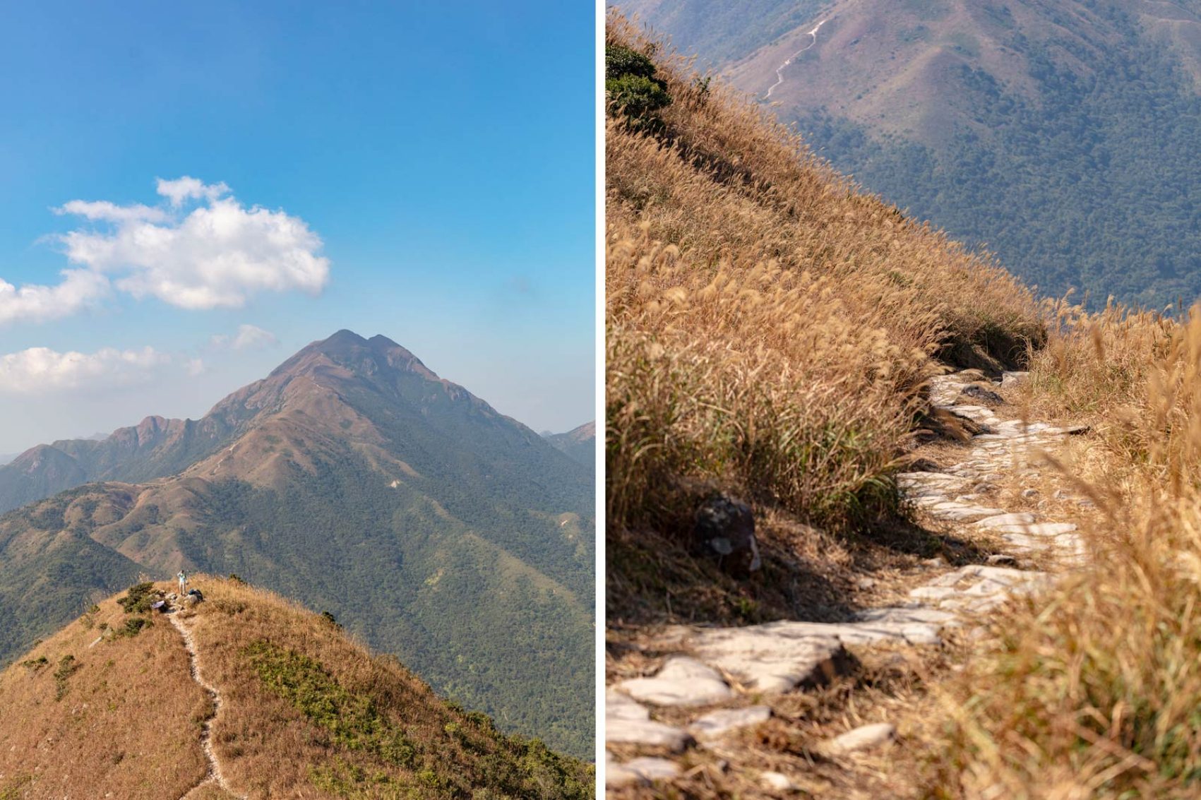 An aerial view of large green hills and a man on Sunset Peak hiking trail in Lantau Island, Hong Kong and A close up of the hiking trail and rugged grounds of Sunset Peak in Lantau Island, Hong Kong