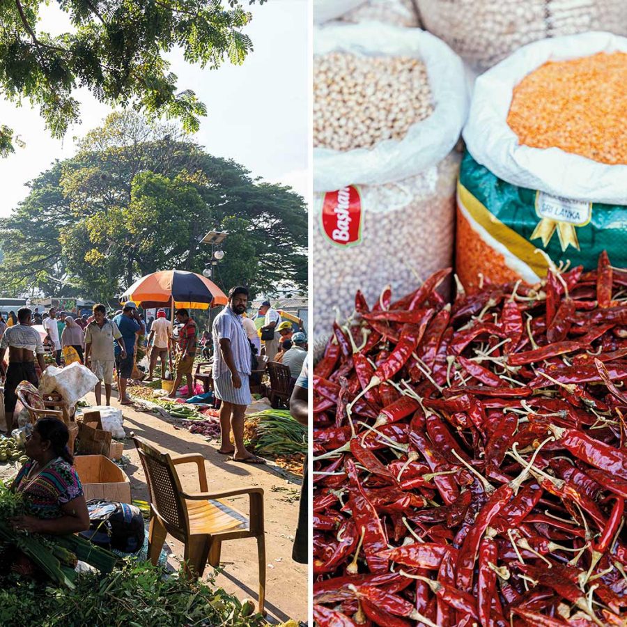 spice, chilli