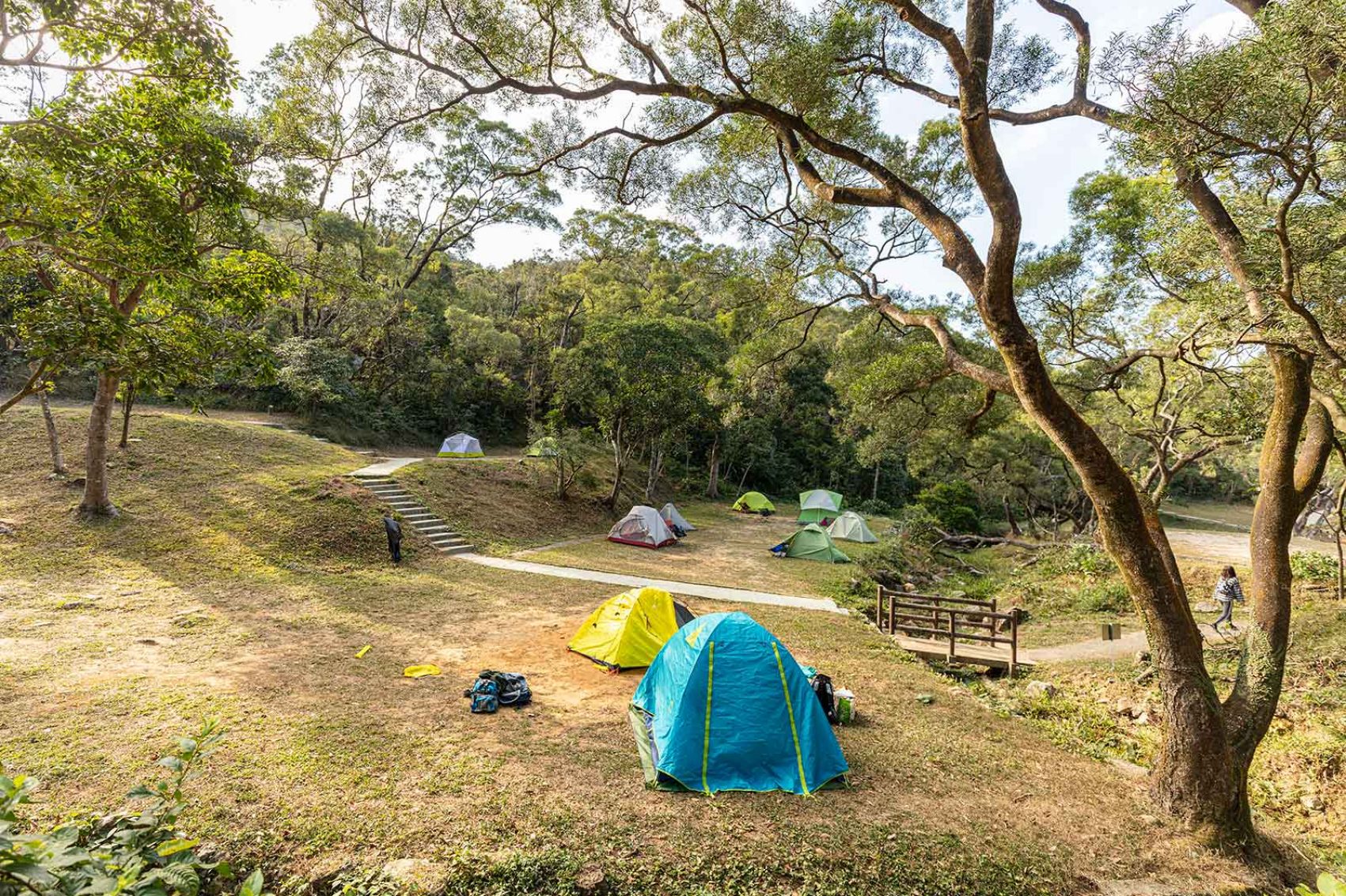 Tents at Gilwell campsite. Credit: Mike Pickles
