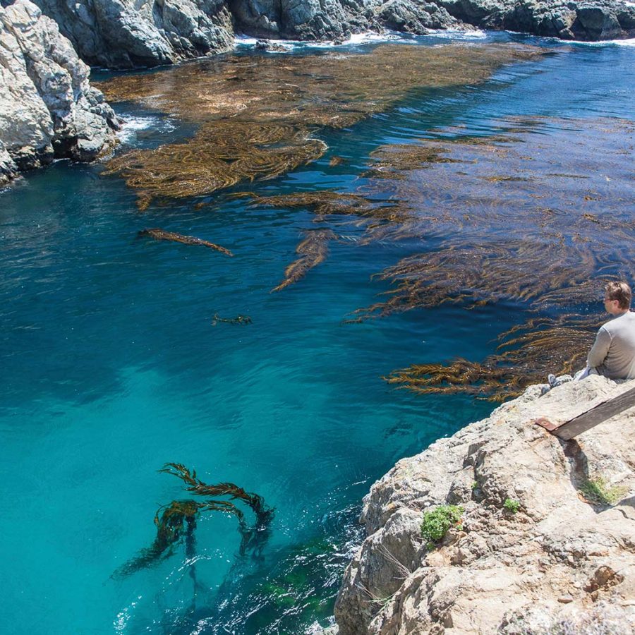 California coastline