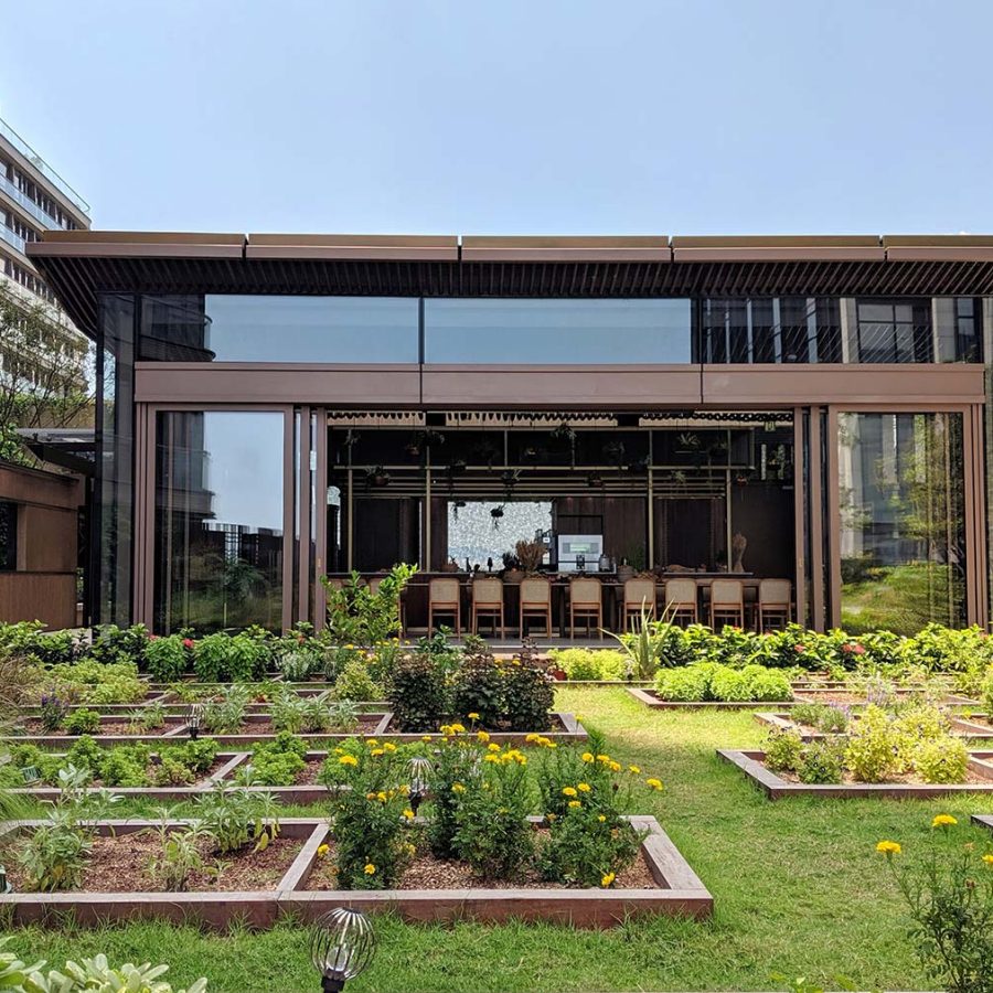 The Nature Discovery Park at K11 Musea in Hong Kong