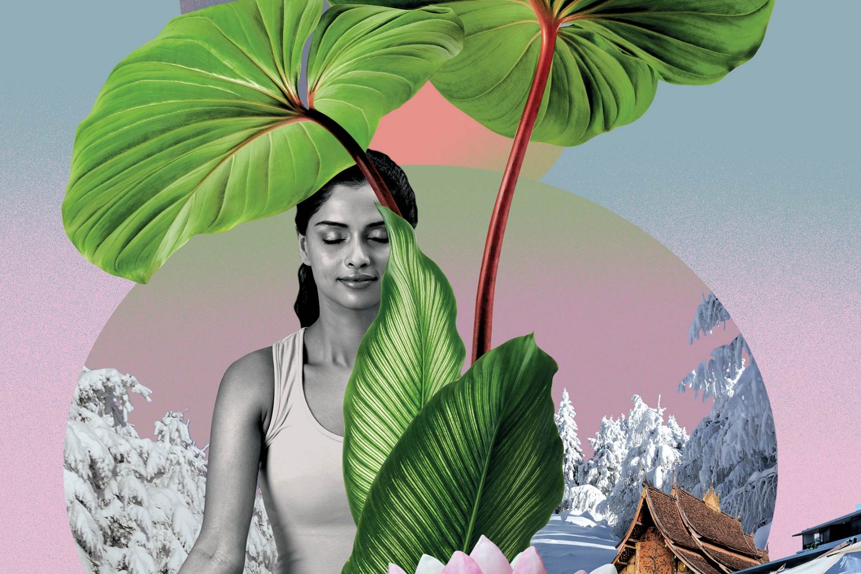 Wellness collage