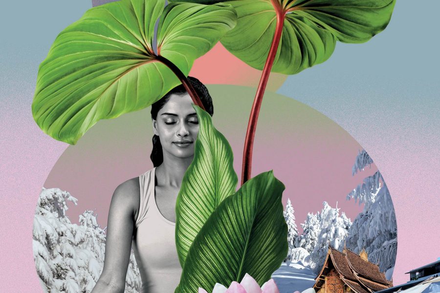 Wellness collage