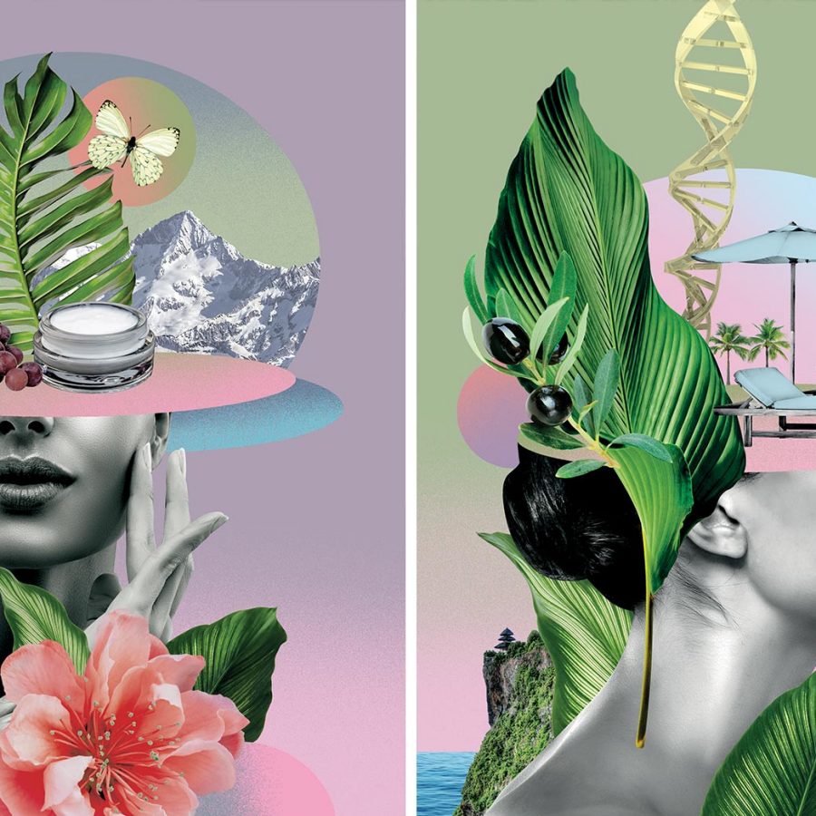 Wellness illustration; Credit: Angela Ho