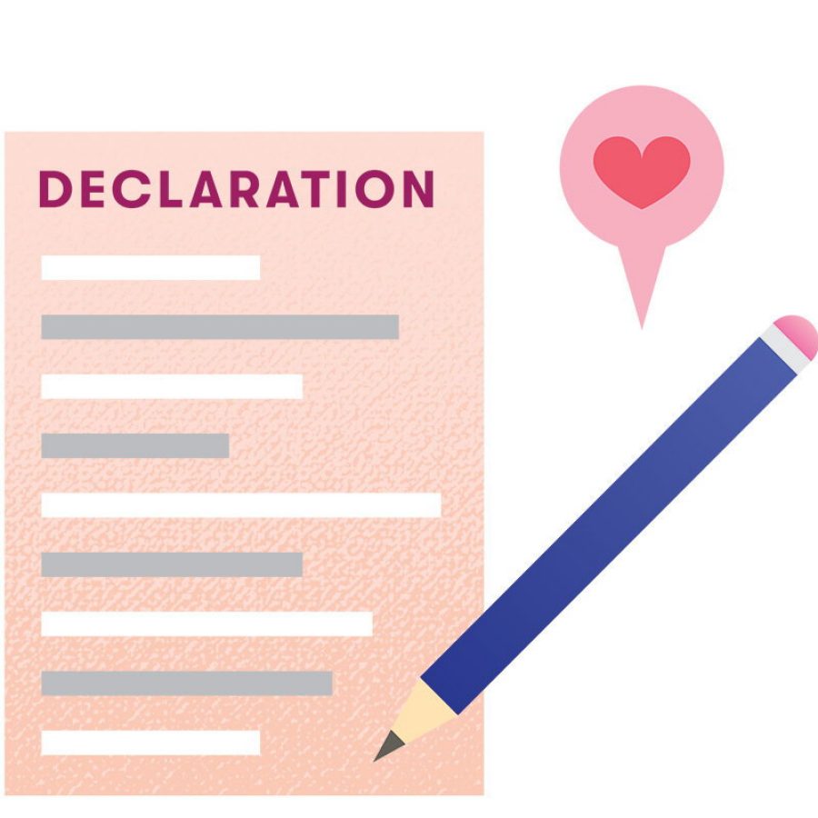 Illustration of declaration form