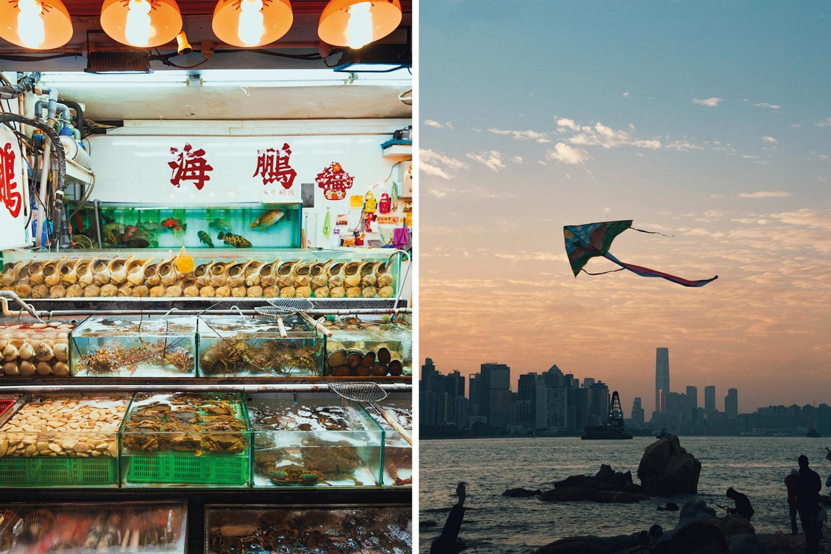 Seafood & Kite
